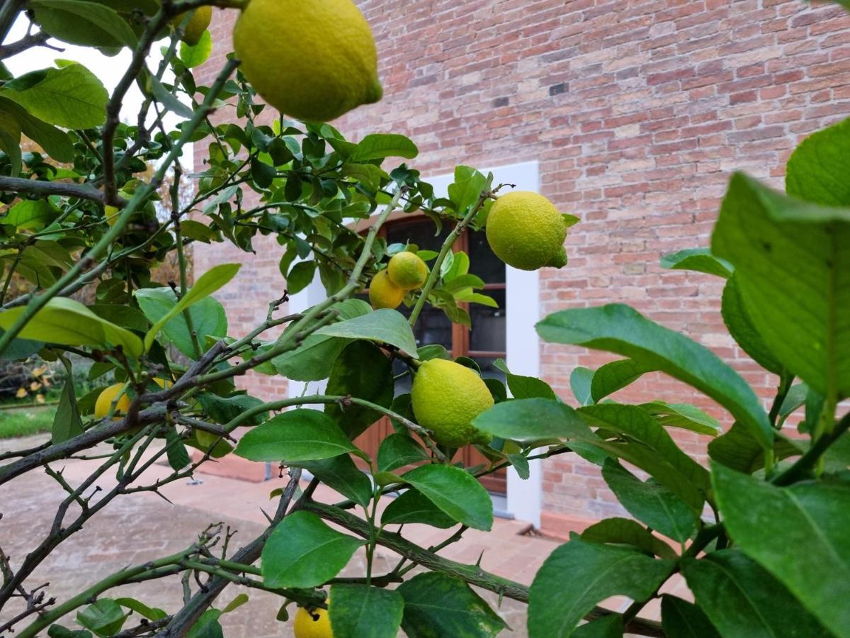 Apartamento Fornace Del Conte Abbadia di Montepulciano Exterior foto