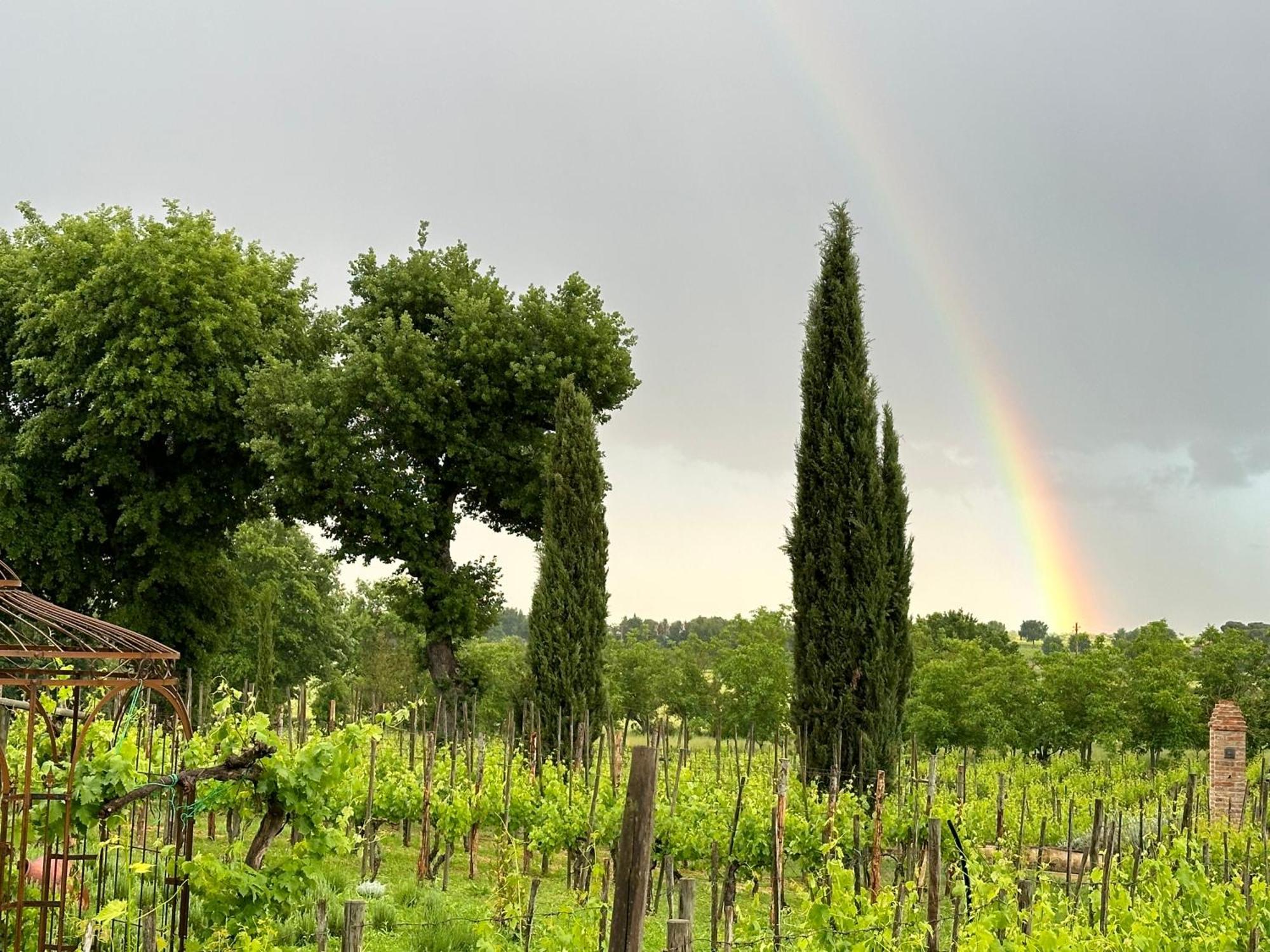 Apartamento Fornace Del Conte Abbadia di Montepulciano Exterior foto