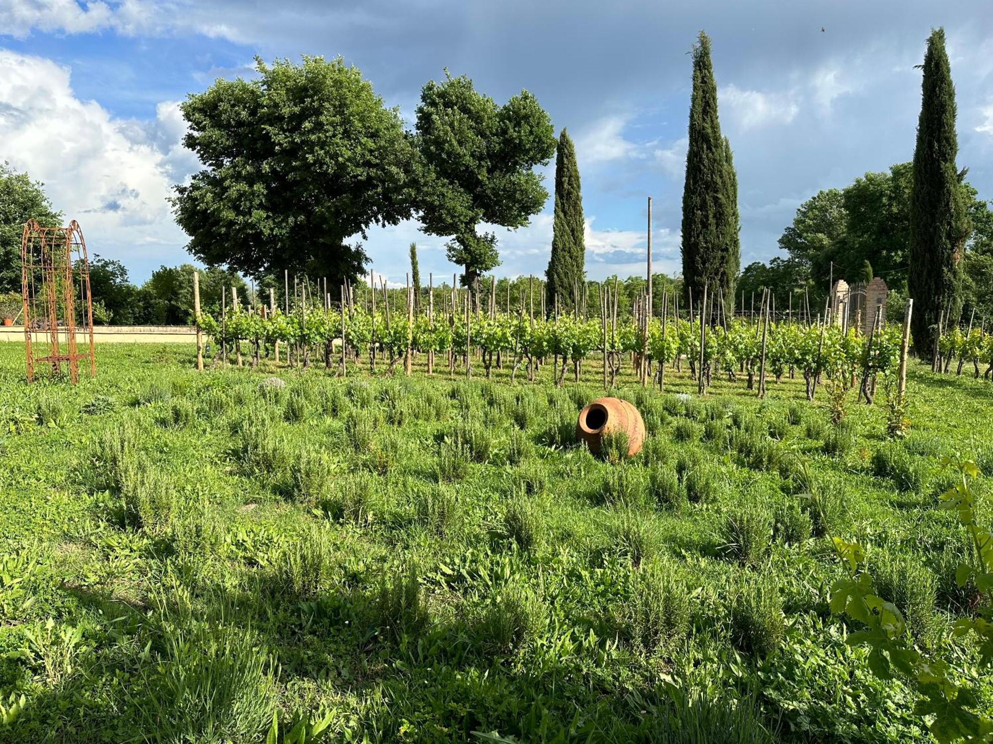 Apartamento Fornace Del Conte Abbadia di Montepulciano Exterior foto