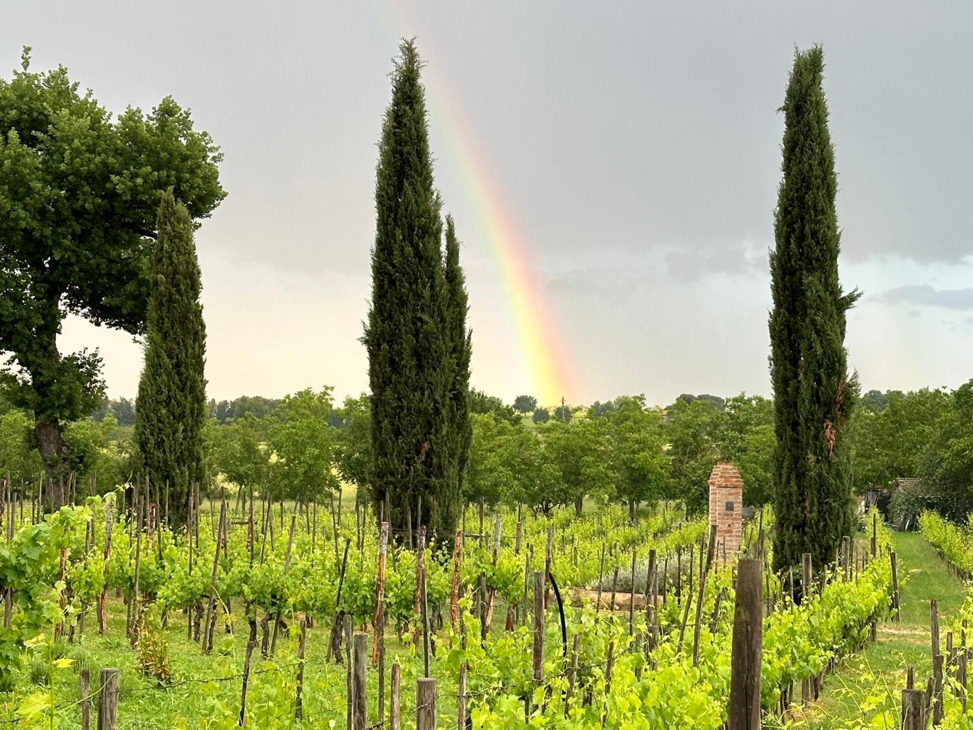 Apartamento Fornace Del Conte Abbadia di Montepulciano Exterior foto