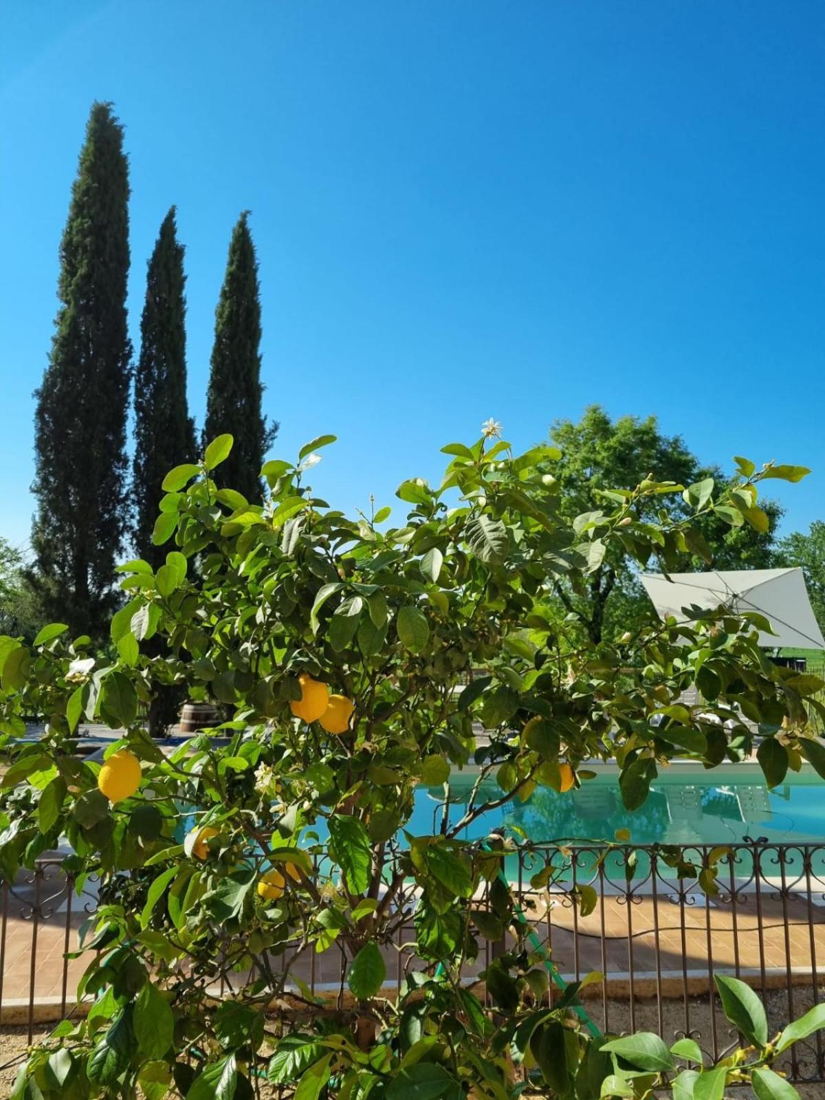 Apartamento Fornace Del Conte Abbadia di Montepulciano Exterior foto